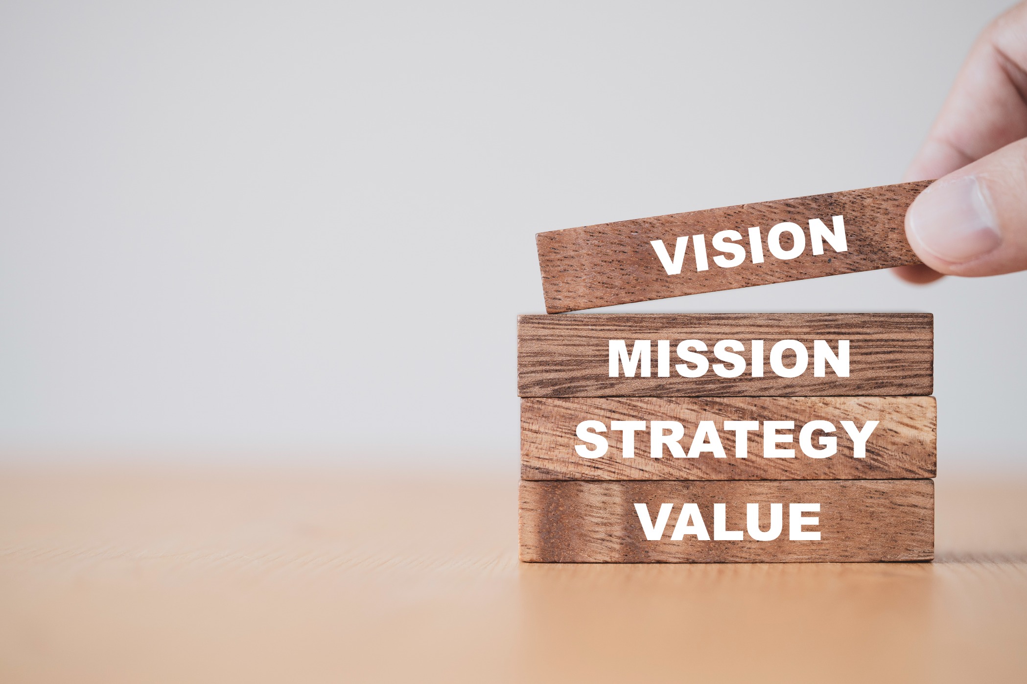 Building vision on mission, strategy and value — Tyag Raj Law Firm